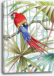 Постер Барнард Дженни (совр) Parrot, 2008