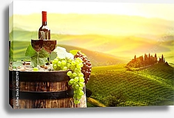 Постер Италия. Тоскана. Вино и виноградники
