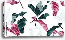 Постер Зеленые, розовые и белые листья банана