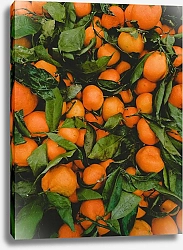 Постер Апельсины с листьями