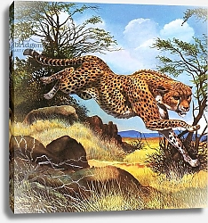 Постер Бэкхаус Д. (совр) Cheetah running
