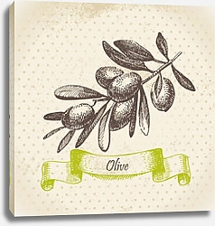Постер Иллюстрация с оливками