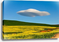 Постер  Линзообразное облако над полем, ЮАР