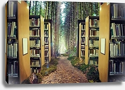 Постер Библиотека в лесу