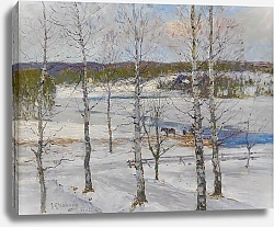 Постер Генберг Антон Winter landscape of Norrland with birch trees