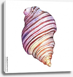 Постер Морская розовая ракушка