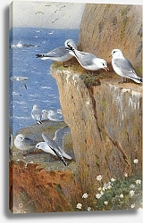 Постер Seagulls