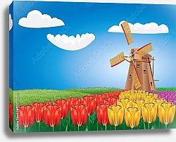Постер Голландия. Тюльпаны и мельница