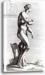 Постер Перье Франсуа (грав) Venus Aphrodite, c.1653 3