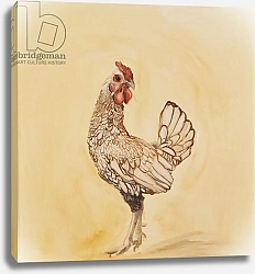 Постер Сандерс Франческа (совр) Lacewing chicken, 2016, 9oil on canvas)