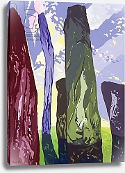 Постер Крау Дерек (совр) Standing Stones, Callanish, 2003