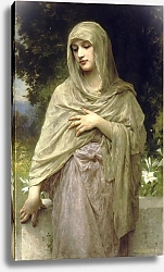 Постер Бугеро Вильям (Adolphe-William Bouguereau) Скромность