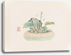 Постер Неизвестен Bonsai kabenzu, Pl.09