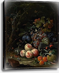 Постер Миньон Абрагам Still Life with Fruit, Foliage and Insects, c.1669