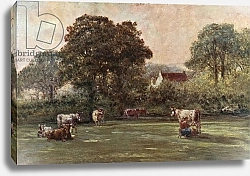 Постер Уокер Франсис Farmhouse in Hyde Lane