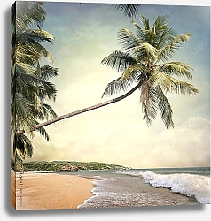 Постер Пляж с пальмой