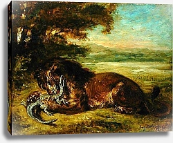 Постер Делакруа Эжен (Eugene Delacroix) Lion and Alligator, 1863