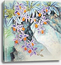 Постер Китайские цветник с желто-фиолетовыми цветами
