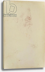 Постер Микеланджело (Michelangelo Buonarroti) Sketch of a male head and two legs
