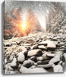 Постер Снег в еловом лесу