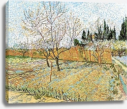 Постер Ван Гог Винсент (Vincent Van Gogh) Фруктовый сад с цветущими персиками
