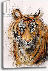 Постер Хужа Файзал (совр) Tiger, 2013,