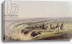 Постер Миллер Якоб Альфред Hunting Buffalo, 1837