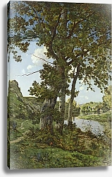 Постер Харпигнес Генри Джозеф The Oaks of Chateau-Renard, 1875