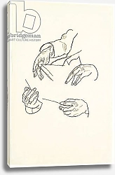Постер Шиле Эгон (Egon Schiele) Hands, studies for a portrait of Dr. Hugo Koller