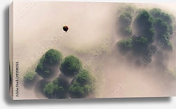 Постер Воздушный шар над туманным лесом