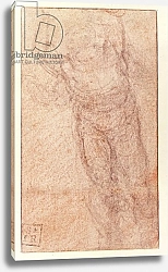Постер Микеланджело (Michelangelo Buonarroti) Study for 'The Resurrection', c.1532-34