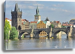 Постер Чехия, Прага. Вид на Карлов мост с лебедями