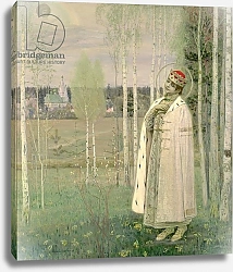 Постер Нестеров Михаил Tsarevich Dimitry, son of the Assassinated Tsar Nicholas