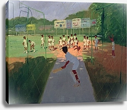 Постер Макара Эндрю (совр) Cricket, Sri Lanka
