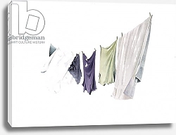 Постер Фислеуйэт Майлз (совр) Spring Washing-line, 2003