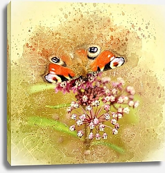 Постер Бабочка на цветке в брызгах краски