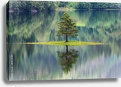 Постер Дерево на острове среди озера, Норвегия