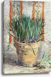Постер Ван Гог Винсент (Vincent Van Gogh) Цветочный горшок с луком, 1887