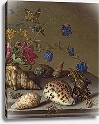 Постер Аст Балтазар Flowers, shells and insects on a stone ledge 1