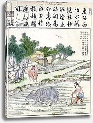 Постер Школа: Китайская 19в. Rice cultivation in China