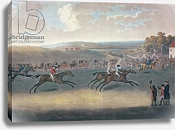 Постер Сарториус Франсуа Derby Sweepstake, 1791/2