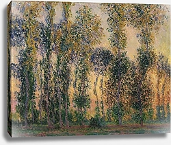 Постер Моне Клод (Claude Monet) Поля в Живерни
