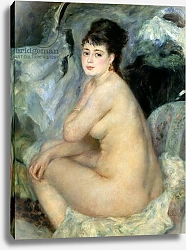 Постер Ренуар Пьер (Pierre-Auguste Renoir) Nude, or Nude Seated on a Sofa, 1876