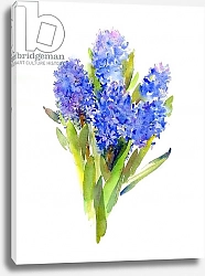 Постер Килинг Джон (совр) Blue Hyacinth, 2014,