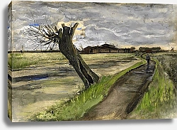 Постер Ван Гог Винсент (Vincent Van Gogh) Pollard Willow, 1882