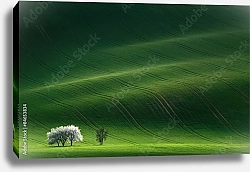 Постер Чехия. Переливы зеленых полей Моравии