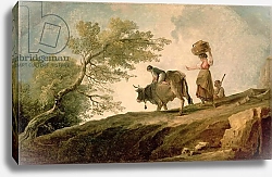 Постер Робер Юбер The Pasture