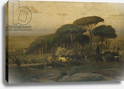 Постер Иннес Джордж Pine Grove of the Barberini Villa, 1876