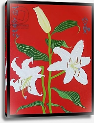 Постер Джоэл Тимоти White lily on a red background no.2, 2008, oil on canvas