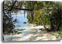Постер Дикий пляж карибского острова